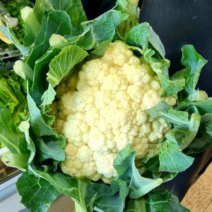 organic-cauliflower