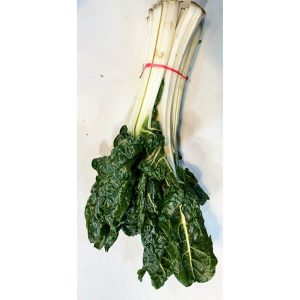 organic-silverbeet